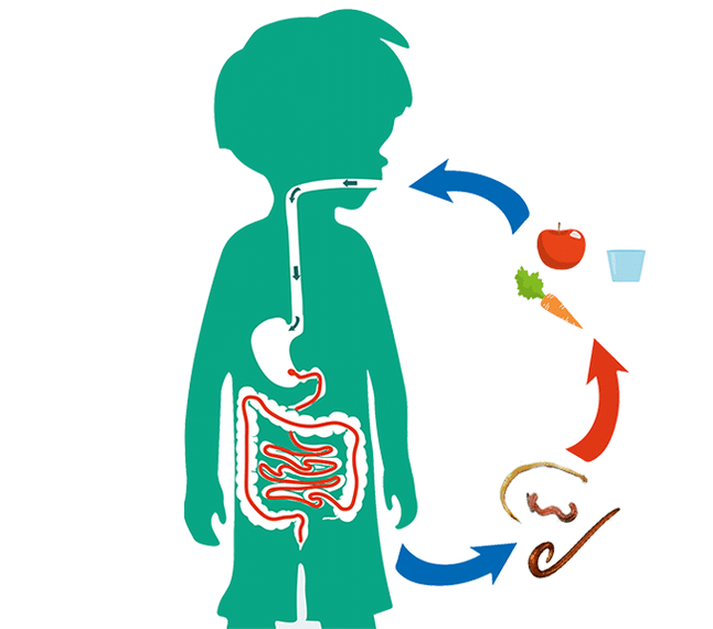 Parasitoek giza infekzio-bideak