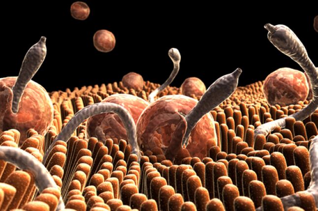 parasitoak giza gorputzean